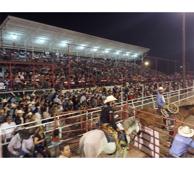 2024
Ground level - General Admission
Grand Stand Box Seats and
Reserved Grands Stand 